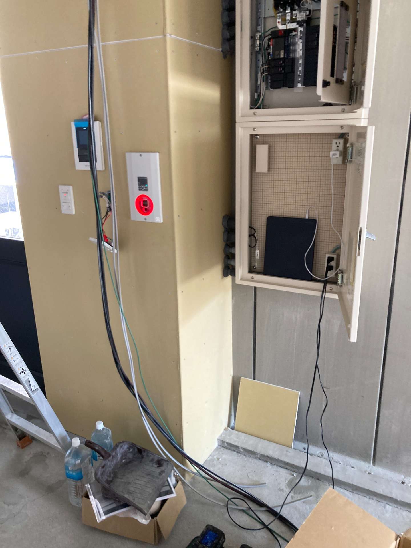 現地調査作業